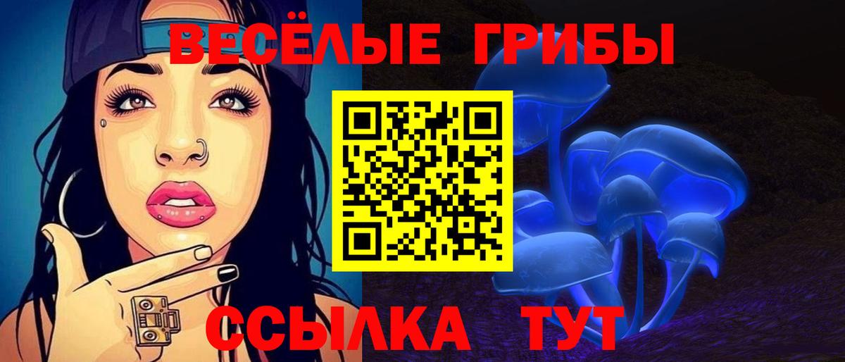 Галлюциногенные грибы Cubensis  Вход с VPN  Псилоцибиновые грибы GOLDEN TEACHER  Чапаевск 